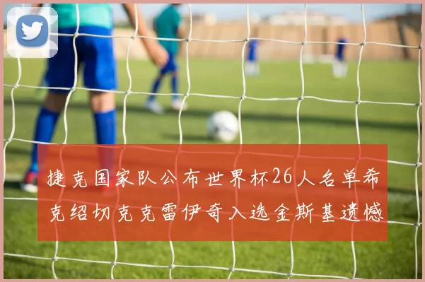 捷克国家队公布世界杯26人名单希克绍切克克雷伊奇入选金斯基遗憾落选